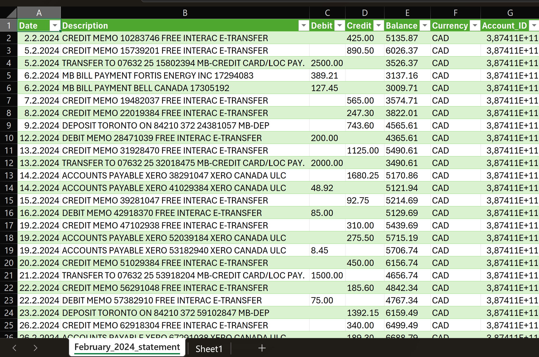 Raw bank CSV export before conversion